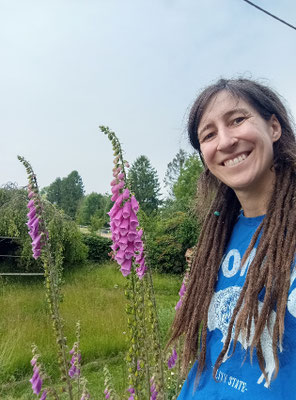 Fingerhut im Garten, Naturgarten SquirrelSarah, Sarah Flory