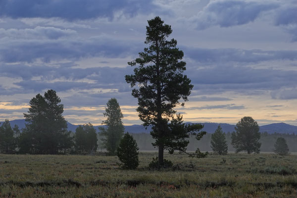 Morgenstimmung Grand Teton Nationalpark vor der Wanderung