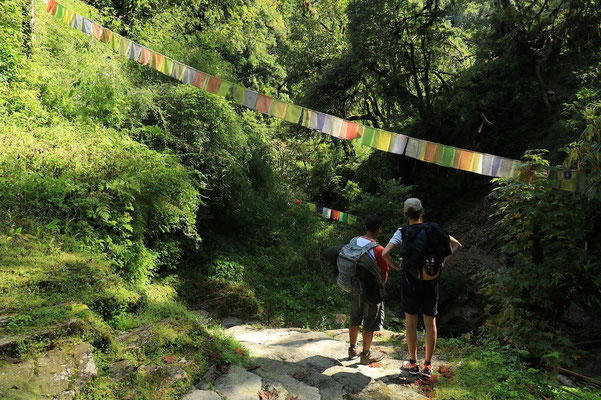Wanderung Poon Hill, durch den Dschungel nach oben, Himalaya, Nepal, Durchfall