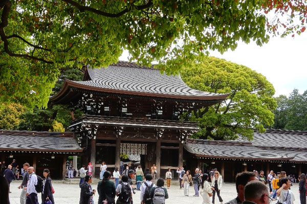 Der Meiji Schrein in Tokio