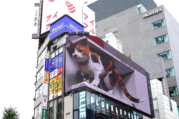 Die Shinjuku-Katze in Tokio