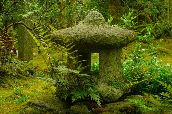 Kleine Pagode am Moos-Tempel in Kyoto