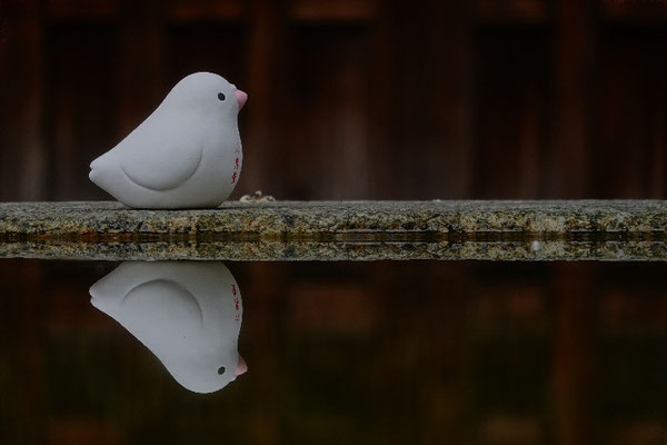 Tauben-Tempel, Krafttiere in Kyoto