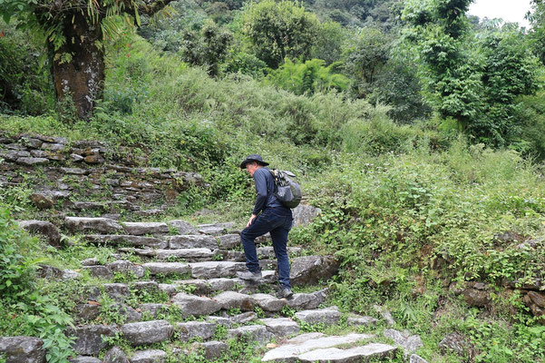3000 Steinstufen auf dem Poon Hill Trek, Wanderung hardcore, Dschungelhitze, Nepal, Trekking