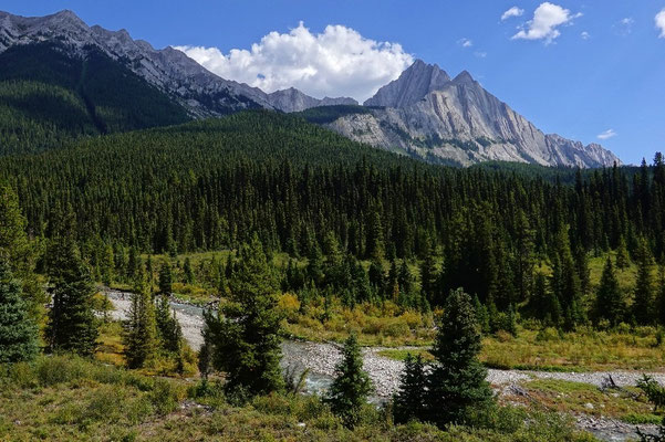 Das wunderschöne Tal im Banff National Park in Kanada, Camping Trip, zelten in Kanada, camping in Kanada