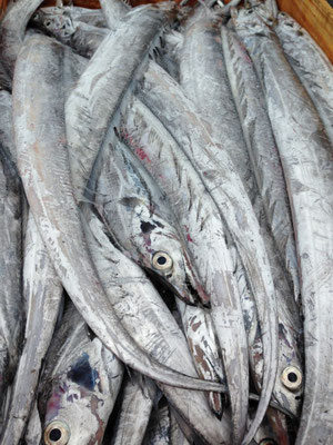 太刀魚