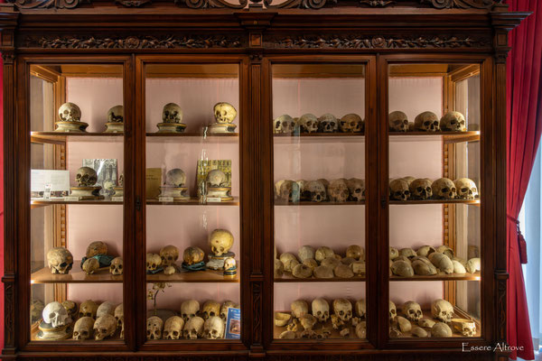 NAPOLI Museo di Anatomia