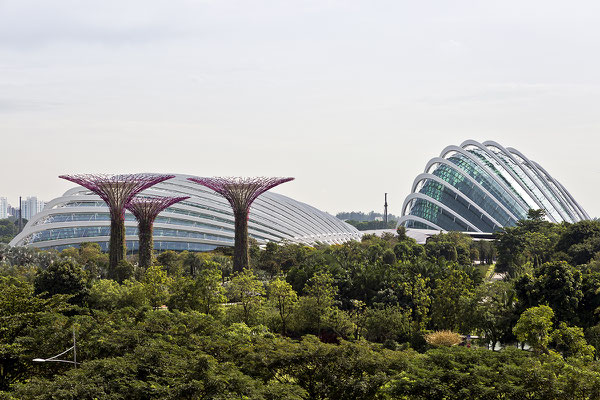 Gardens by the bay