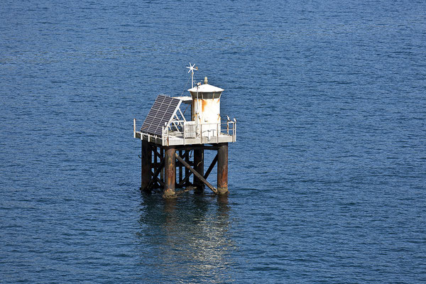 Hafeneinfahrts Leuchtturm Wellington Neuseeland Nordinsel