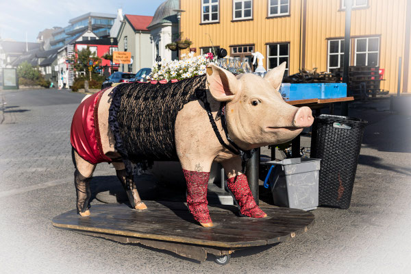 Schweinerei