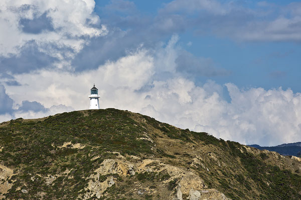 Old Pencarrow Lighthouse,Wellington, Neuseeland Nordinsel 