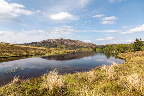 Highlands