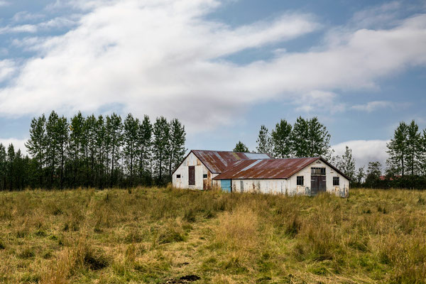 the farm