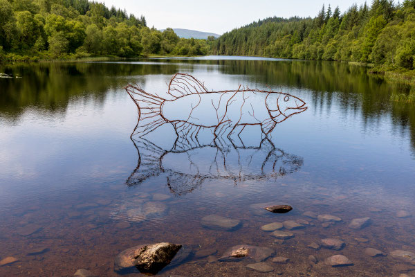 Fisch