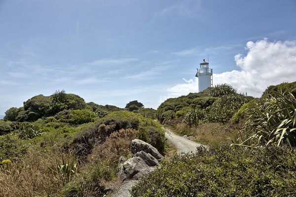 Lighthouse Cape Foulwind , Neuseeland - Südinsel 