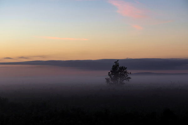 fog