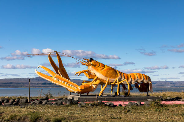 Lobster by the ocean