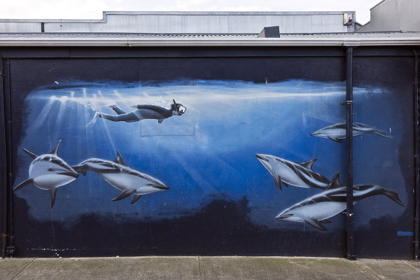 Kaikoura / New Zealand