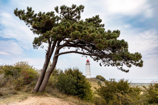 Leuchtturm Dornbusch / Hiddensee / Deutschland