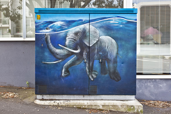 Aukland / New Zealand