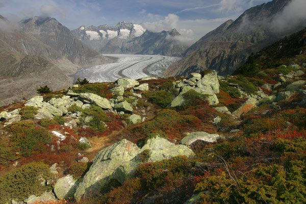 Aletschgletscher, 09.10.2007