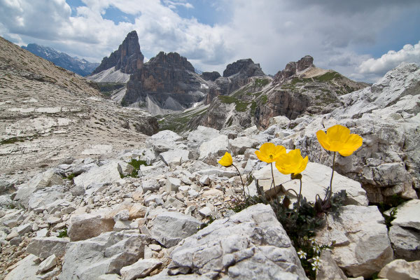 Sextener Dolomiten, 01.07.2011