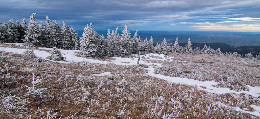 Brocken, 27.12.2013