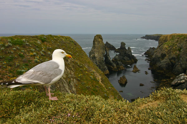 Bretagne, 01.07.2008