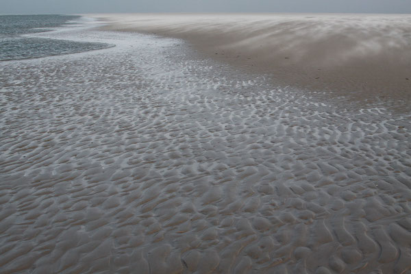 Spiekeroog, 2009