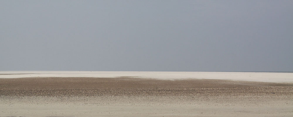 Spiekeroog, 2009