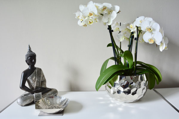 Foto:Privat