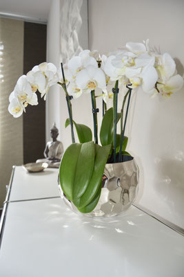 Foto:Privat