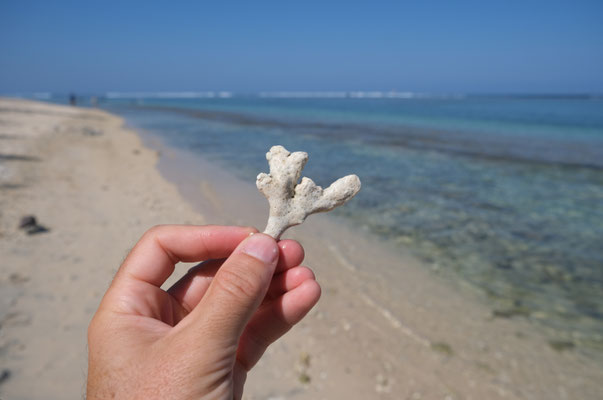 Plage de l'Ermitage à Saint-Gilles, La Réunion