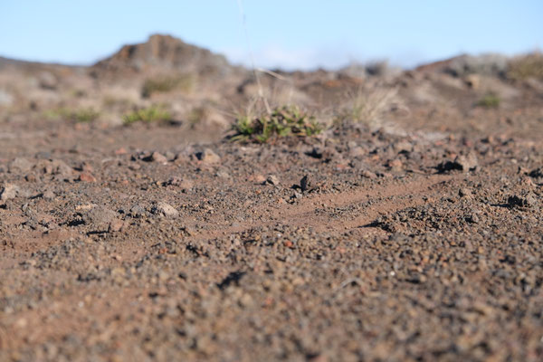 Plaine des Sables, La Réunion