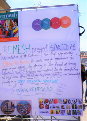 Poster of a best social entrepreneurship example (RO)