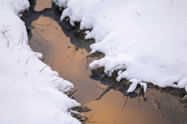 Schnee am Büsenbach