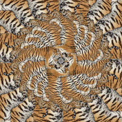 Tiger-Serie2-31