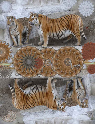 Tiger-Serie4-14
