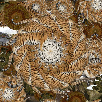 Tiger-Serie2-13