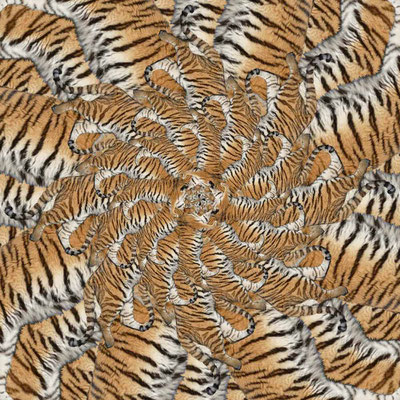 Tiger-Serie2-37