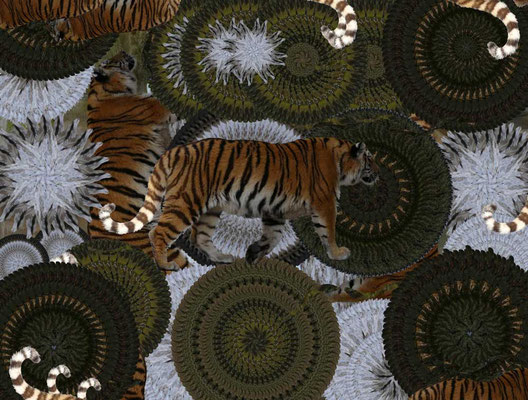 Tiger-Serie3-24