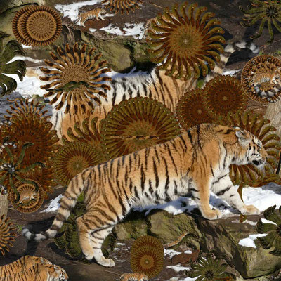 Tiger-Serie2-09