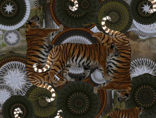 Tiger-Serie3-27
