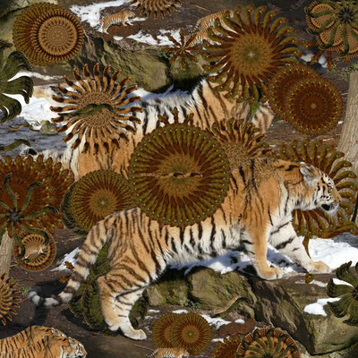 Tiger-Serie2-10