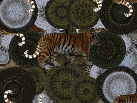 Tiger-Serie3-26