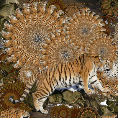 Tiger-Serie2-19
