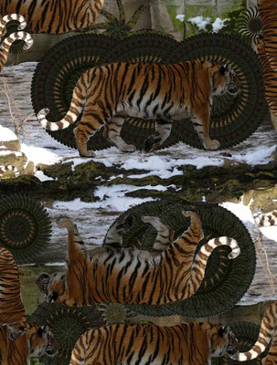 Tiger-Serie3-19