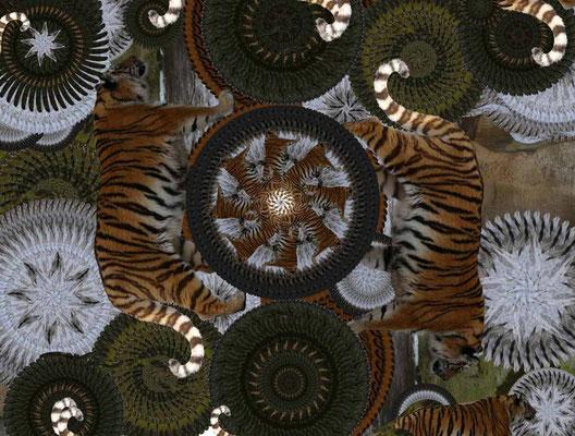 Tiger-Serie3-28