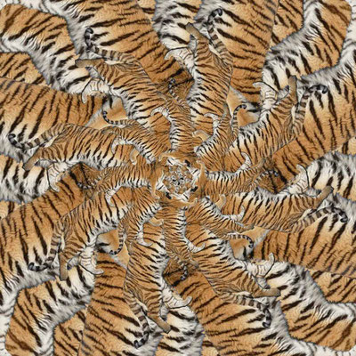 Tiger-Serie2-38
