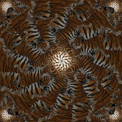 Tiger-Serie3-66